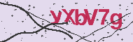 Captcha認証コード